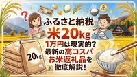 ふるさと納税 米 20kg 1万円は現実的？最新の高コスパお米返礼品を徹底解説！