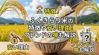 ふくきらり米の特徴や安い理由！ブレンドの噂も解説
