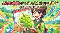 ふるさと納税のシャインマスカットはいつ届く？旬の時期や発送目安