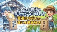 ふるさと納税の雪中米ななつぼしと普通のものとの違いを徹底解説