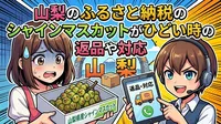 山梨のふるさと納税のシャインマスカットがひどい時の返品や対応